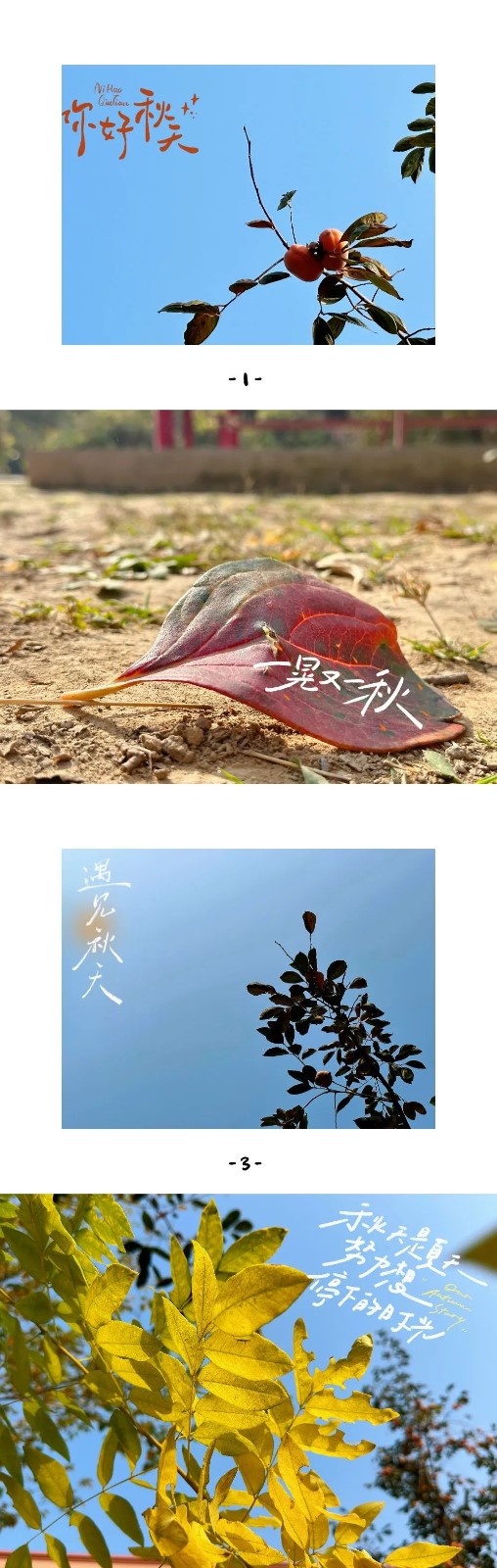 保理之秋，邂逅美好！