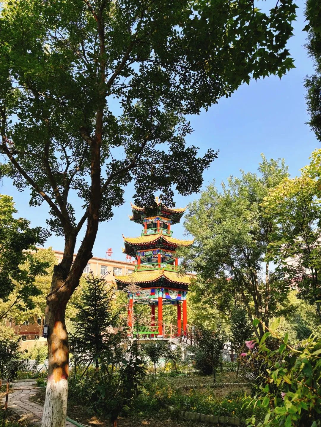 保理之秋，邂逅美好！