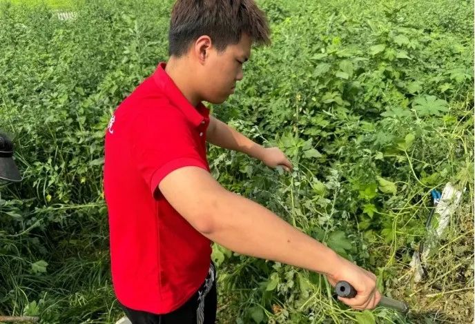 社會實(shí)踐(十六)勇?lián)鷷r(shí)代使命,助力興村振興——保定理工學(xué)院經(jīng)濟(jì)學(xué)院“三下鄉(xiāng)”社會實(shí)踐