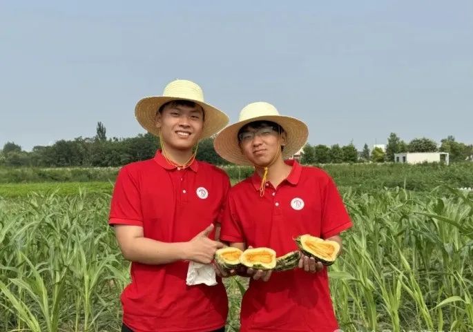 社會實(shí)踐(十六)勇?lián)鷷r(shí)代使命,助力興村振興——保定理工學(xué)院經(jīng)濟(jì)學(xué)院“三下鄉(xiāng)”社會實(shí)踐